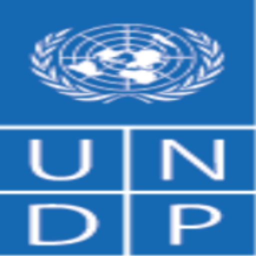 UNDP Chat